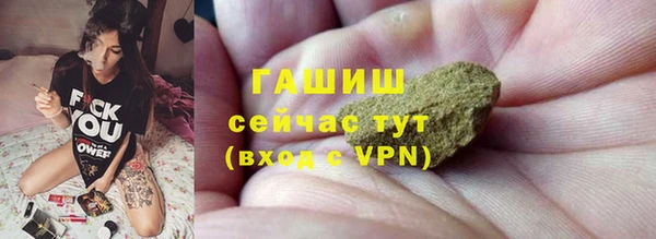 шишки Аркадак
