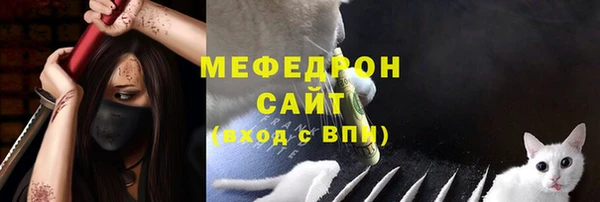 шишки Аркадак