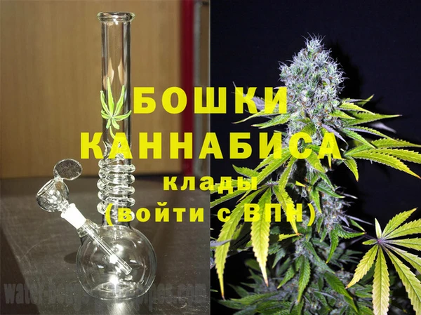 шишки Аркадак